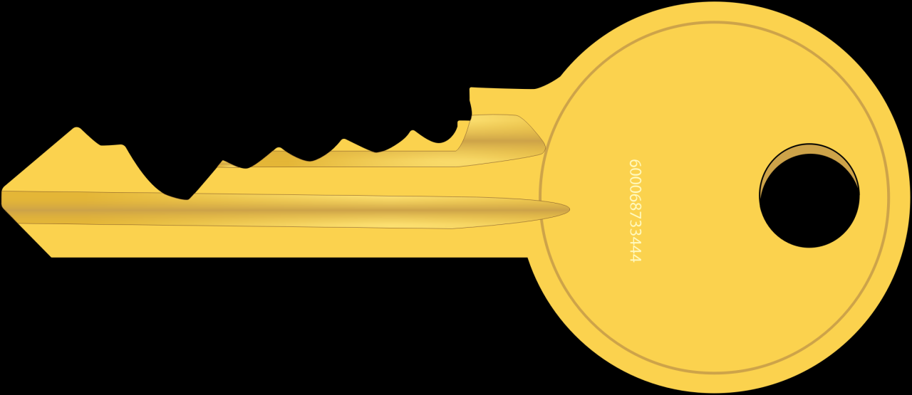U.S. Treasury Key Free Stock Photo - Public Domain Pictures Key Features Consumers Look for in Health Supplements and Devices