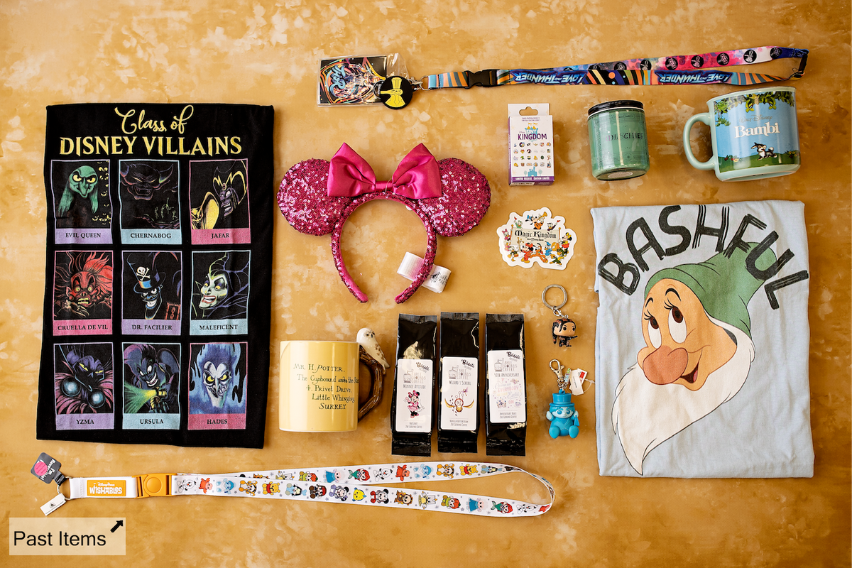 How to Choose the Right Lifestyle Subscription Box