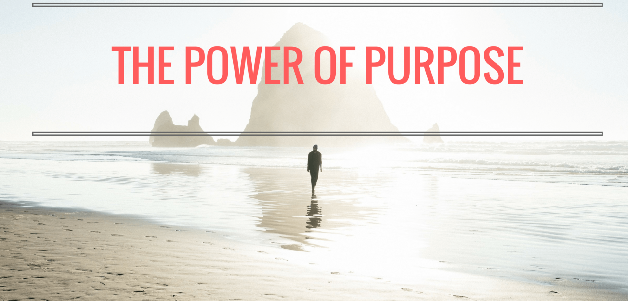 The Power of Purpose in Everyday Purchases
