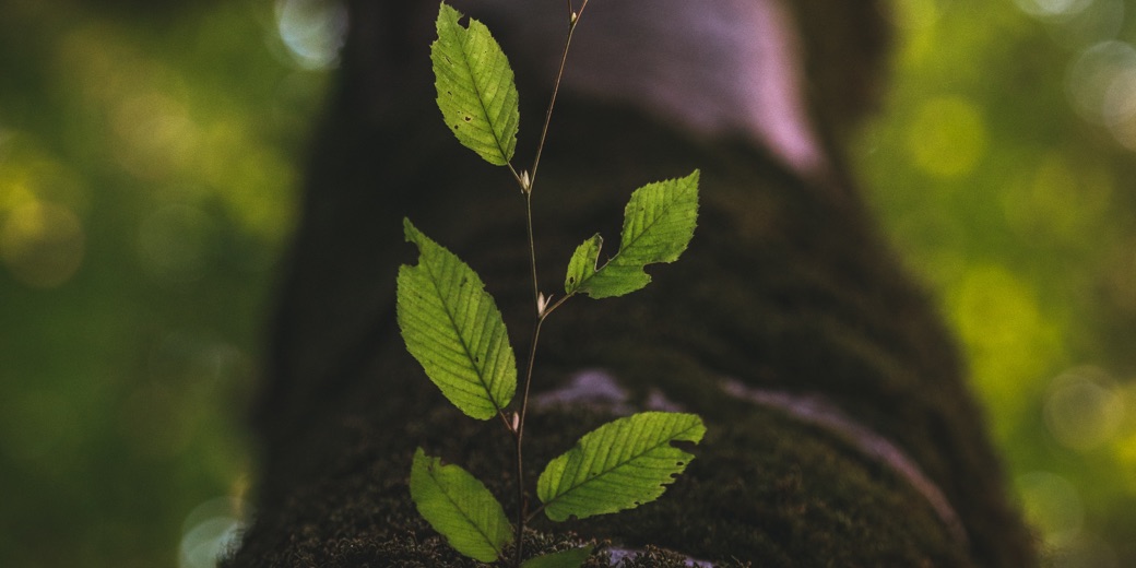 What Makes a Health Brand Feel Safe and Reliable